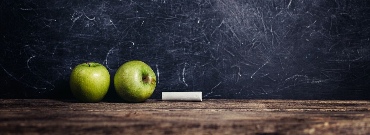 Keyvisual des Zentrum für Lehrerbildung: Zwei grüne Äpfel und ein Stück Kreide liegen vor einer alten Schiefertafel.